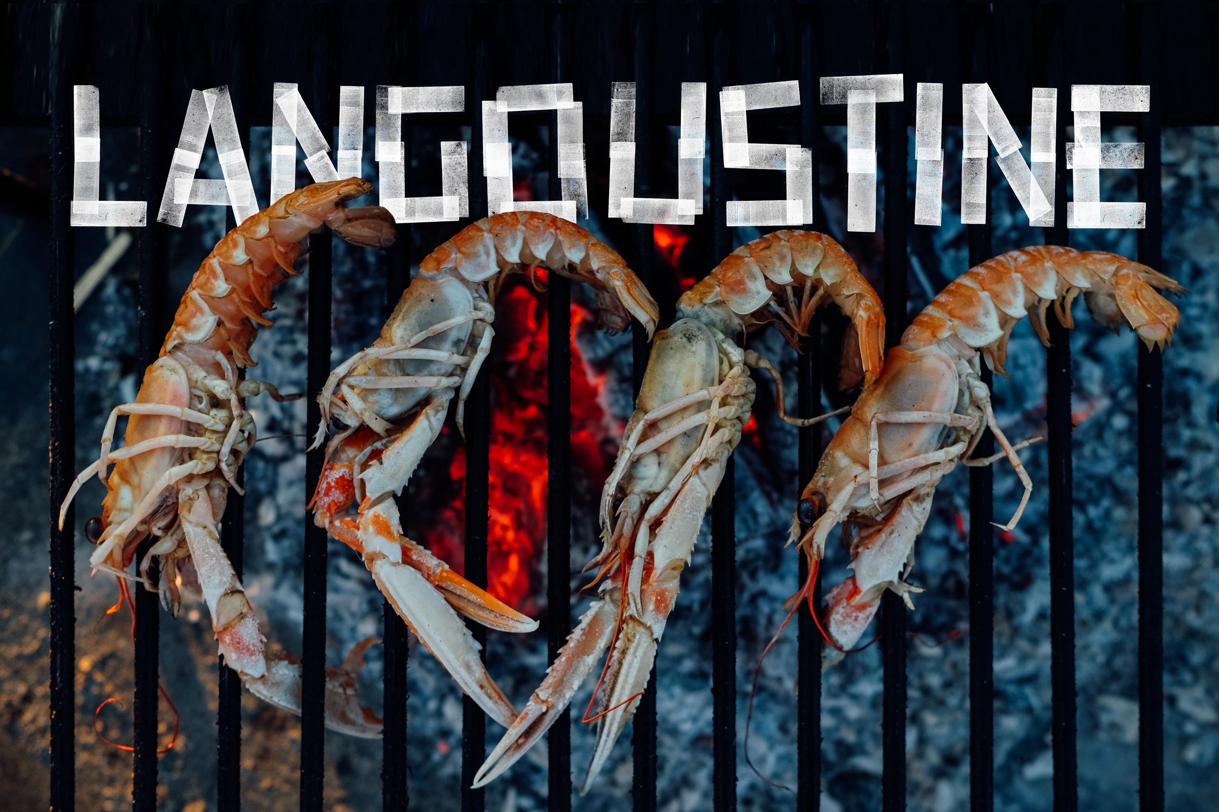 The Two Anchors Seafood Fish Brand Graphic Design Photography Shellfish Logo Ogmore-by-Sea Wales Langoustine Jonathan White Phill Lewis