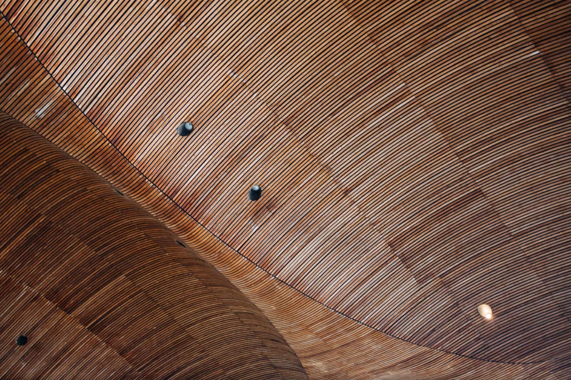 Cardiff Bay Senedd Photography
