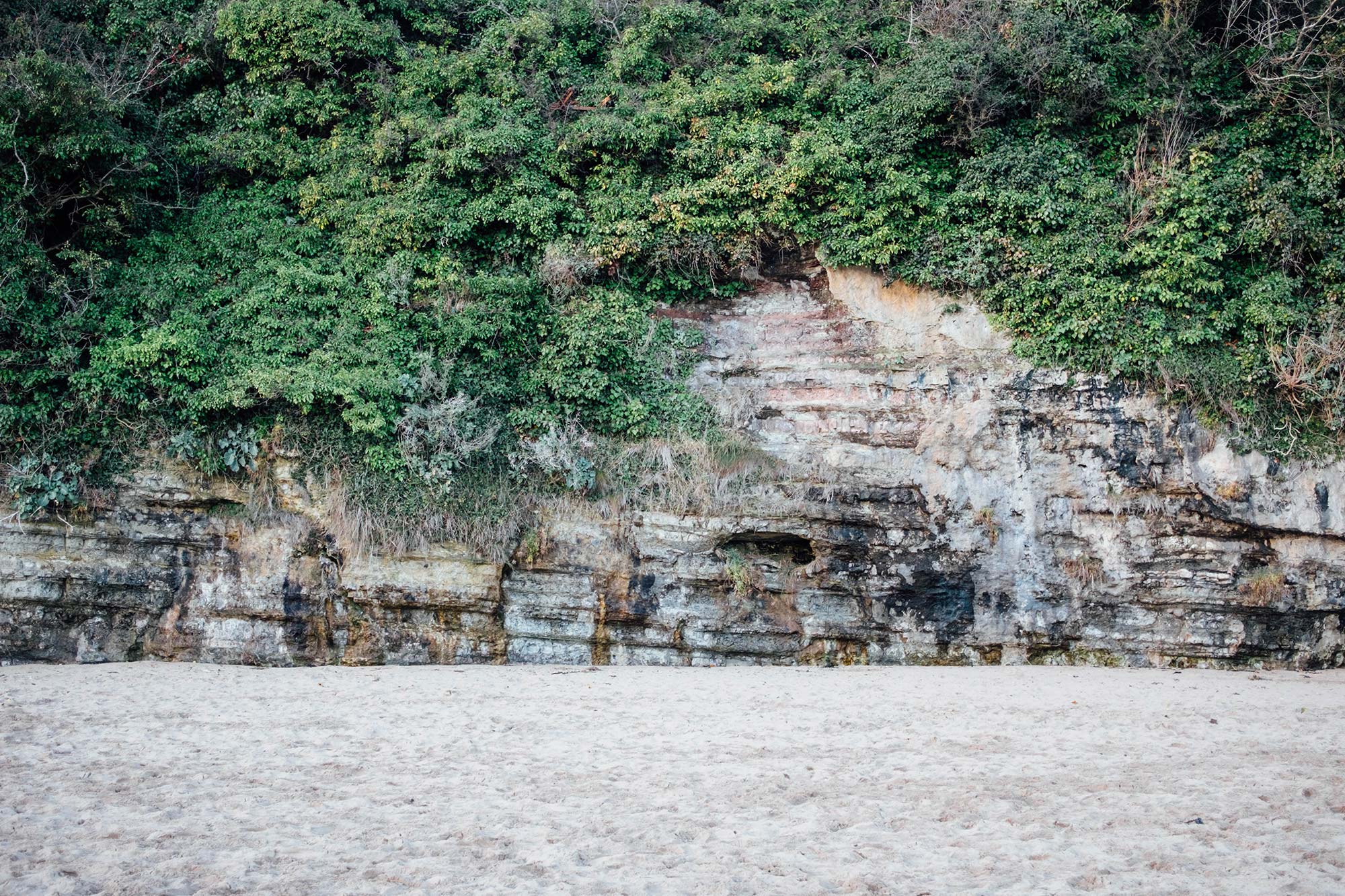 Jackson Bay Barry Photography