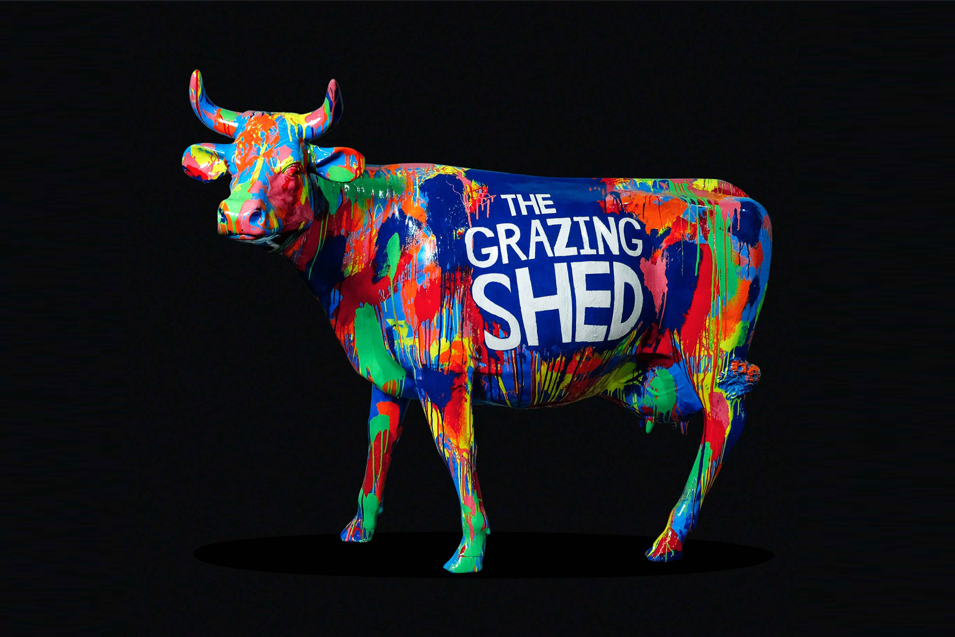 The Grazing Shed Super Tidy Burgers Branding Graphic Design