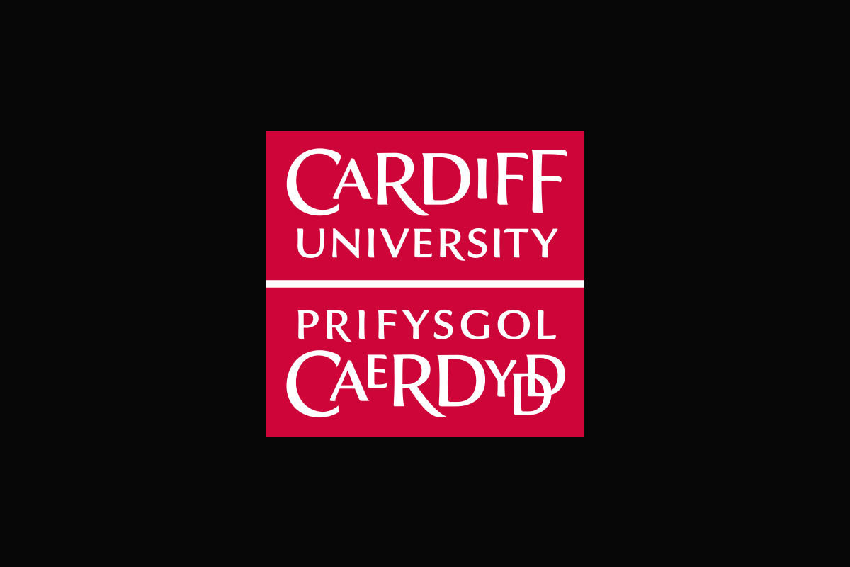 Cardiff Univertsity Postgraduate Research Festival Brand Branding Graphic Design Colour Creative Logo